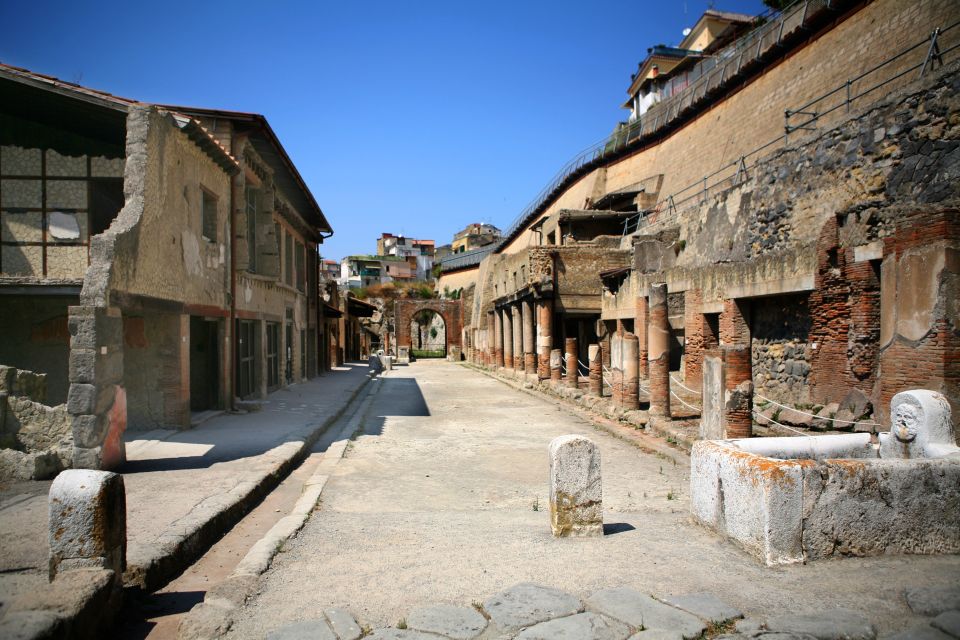 2-Hour Private Tour of the Ruins of Herculaneum - Council Hall of the Augustali: Frescoes and Hercules
