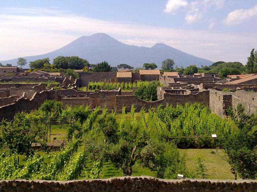 2-Hour Private Walking Tour of Pompeii - The former Red Light District and its frescoes