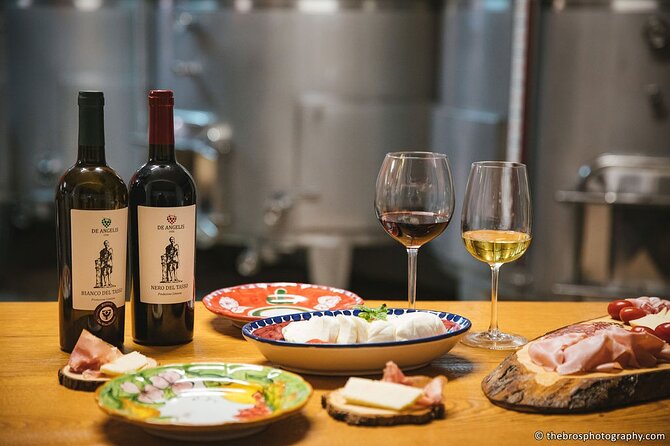 2-hour tasting of 5 wines in Sorrento - Key highlights before you go