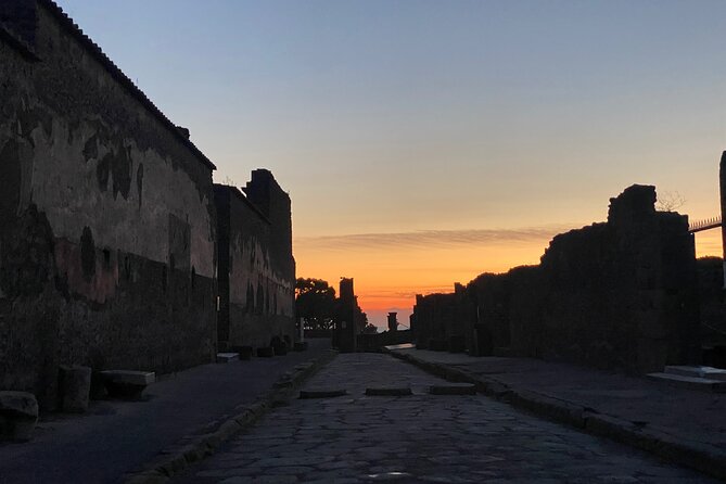 2 Hours Pompeii Group Tour with Archaeologist Guide and Skip the Line - Gladiators and the Laundry of Pompeii: Vicolo di Gladiatori + Fullonica di Stephanus