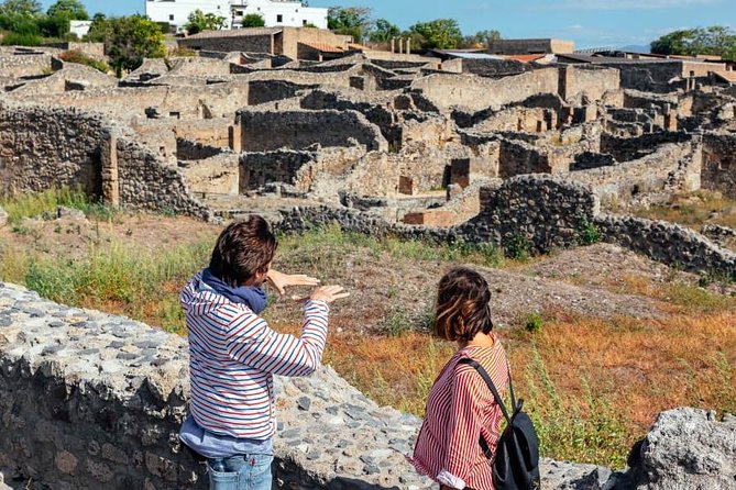 2 Hours Private Walking Tour in Pompeii with an Archaeologist - Price and logistics: what you’re paying for (and what to add)