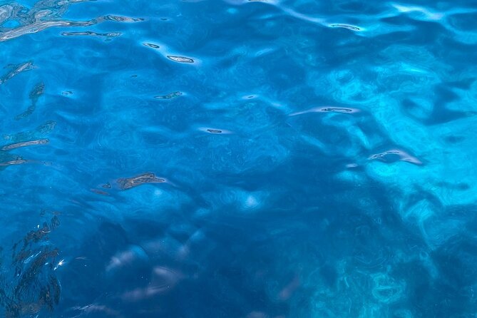 3-hour private boat tour of the island of Capri - Stop 1: The White Grotta and Its Sea-Light Walls