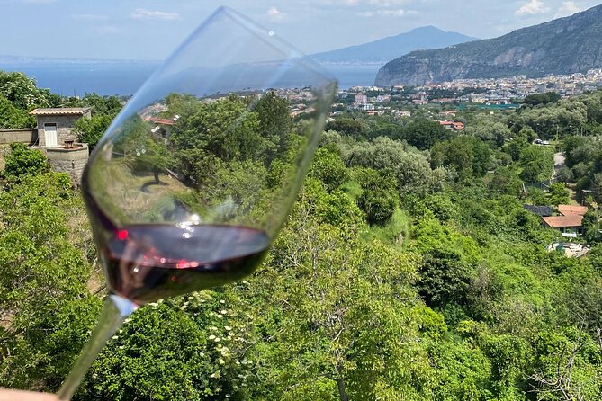 5 Wine Tastings with Typical Products in Sorrento Coast - The Human Factor: Giovanni, Francesca, Salvatore, Luca, and Mario