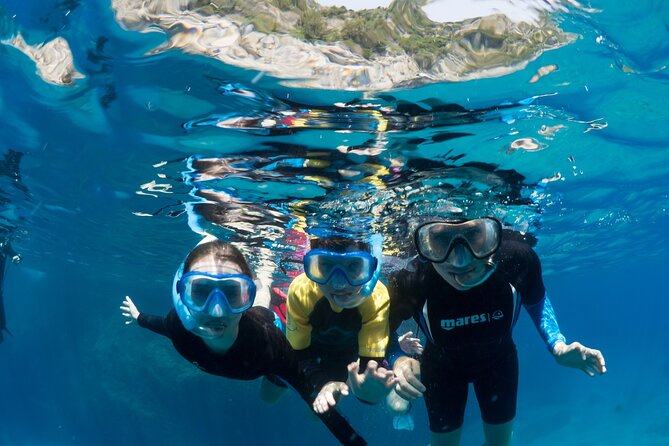Afternoon snorkelling guided by a marine biologist in Sorrento - Price and value: what $93.09 gets you for 2.5 hours