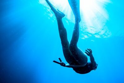 Afternoon snorkelling guided by a marine biologist in Sorrento - Your 3:00 pm plan in 2.5 hours (and what it feels like)