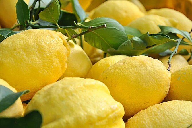 Amalfi Coast - Maiori: Path of Lemons Tour with Tasting - Walking the Sentiero dei Limoni from Maiori to Minori