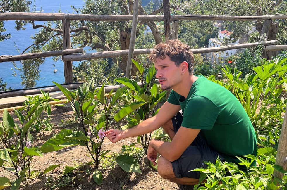 Amalfi Coast: Pizza & Mozzarella Class with Farmhouse visit - Who this Amalfi Coast class suits best (and who should skip it)
