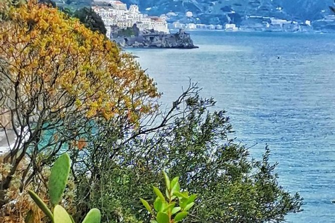 Amalfi Coast Private Tour from Sorrento: Exclusive Mercedes Van - Positano for about an hour: color, beaches, and steep streets