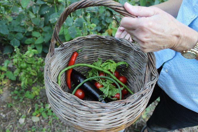 Amalfi Coast & Sorrento Cooking Class School at Farmhouse - From hotel pickup to a farmhouse kitchen in Sorrento hills