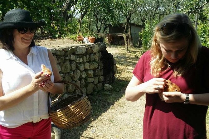Amalfi Coast & Sorrento Cooking Class School at Farmhouse - Lunch with wine pairings and those coast views