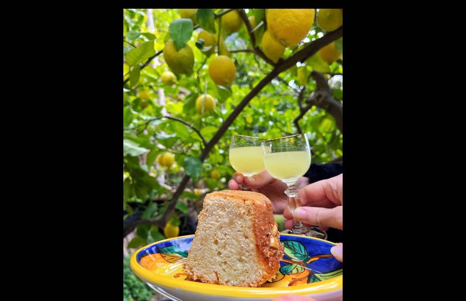 Amalfi Organic Lemon Tour & Tasting in the Historical Garden - Should You Book the Amalfi Organic Lemon Tour & Tasting?