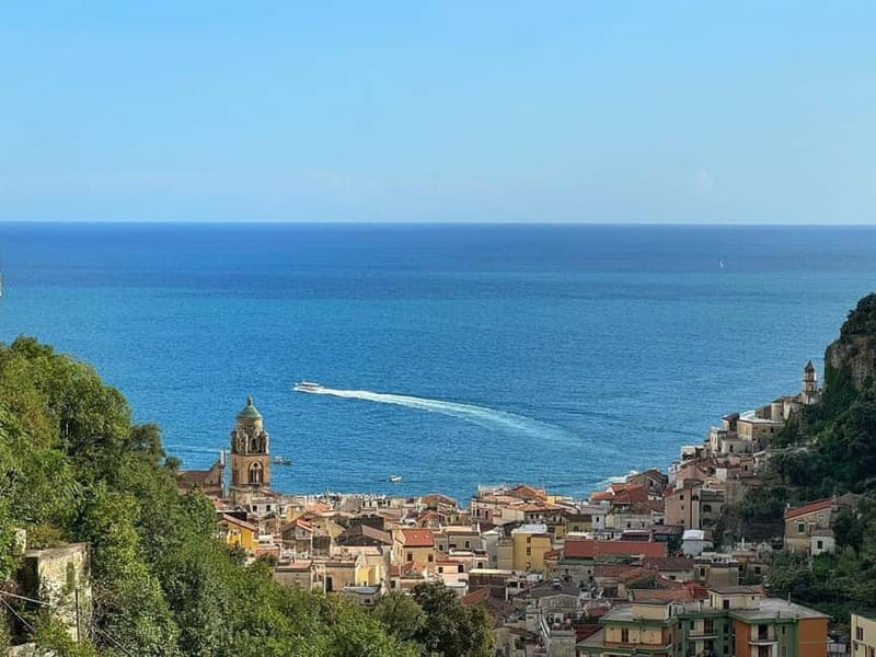 Amalfi Organic Lemon Tour & Wine Tasting + Dinner or Lunch - Key takeaways before you go