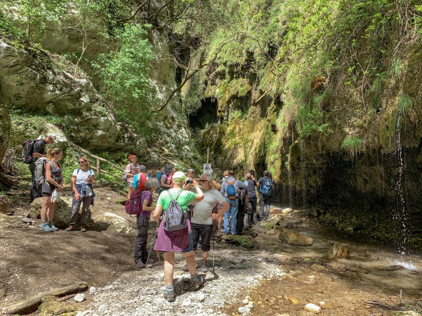 Amalfi: Private Valley of the Mills Nature Reserve Tour - Should you book the Amalfi Private Valley of the Mills tour?