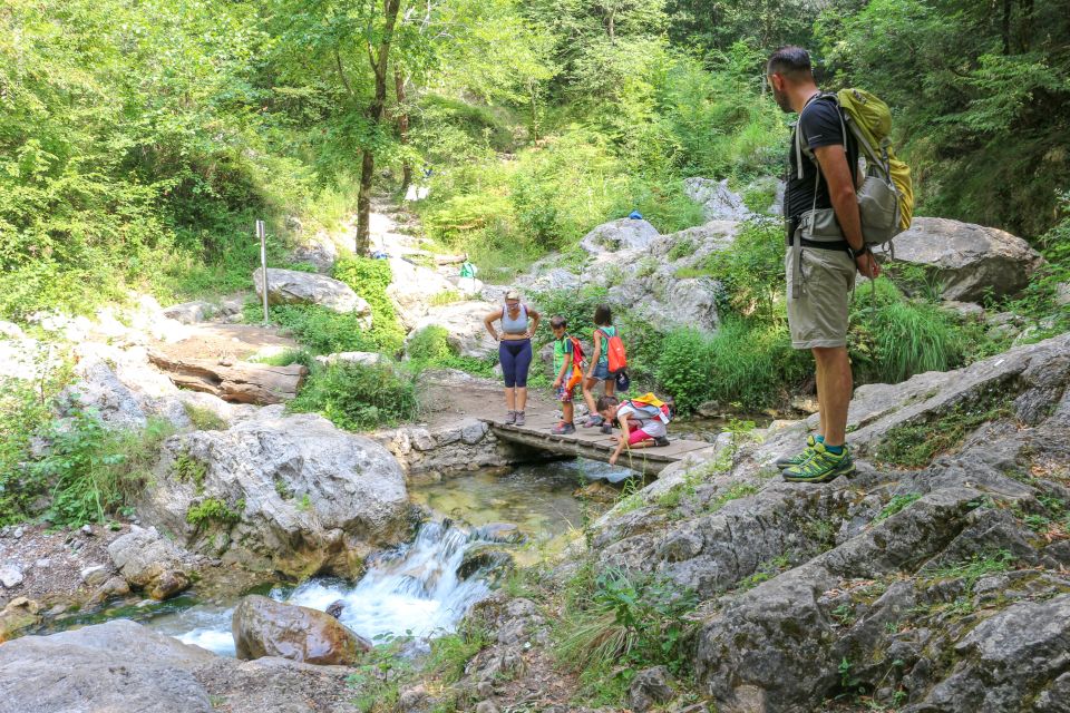 Amalfi: Private Valley of the Mills Nature Reserve Tour - Valle delle Ferriere: waterfalls, rare plants, and the Canneto River route