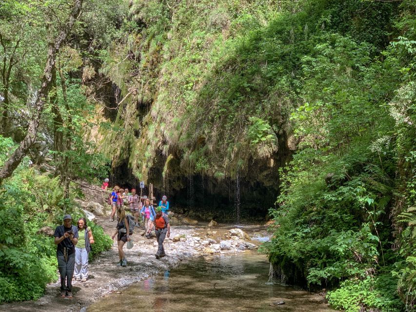 Amalfi: Private Valley of the Mills Nature Reserve Tour - Paper mills ruins: how Amalfi’s industry shaped the coast