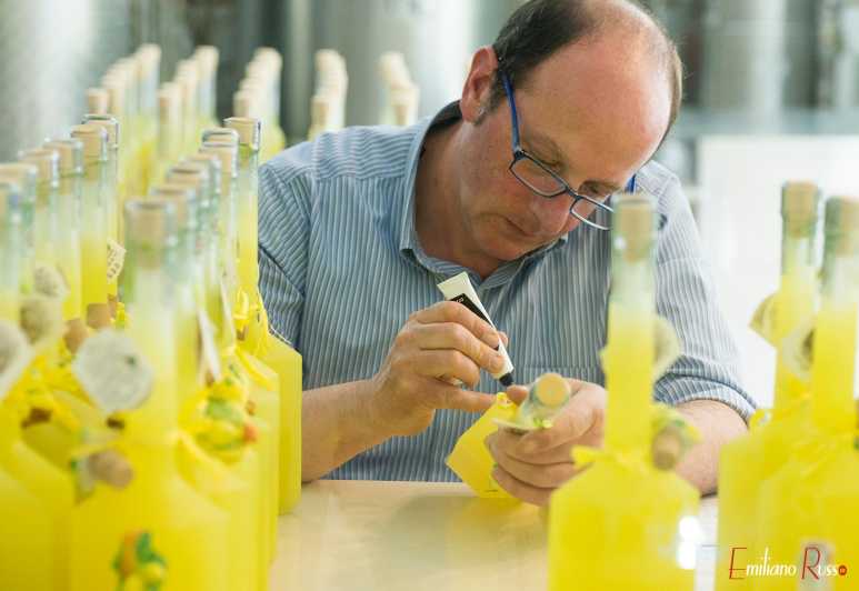 Amalfi: Vertical Lemon Farm Tour, Tastings, and Rural Museum - Key Highlights Worth Showing Up For
