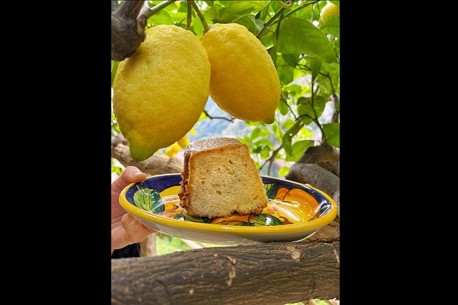 Authentic Amalfi Lemon Tour & Tasting in the Historical Garden - The slow view break: Amalfi from the lemon terraces