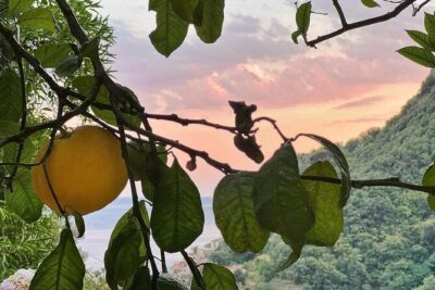 Authentic Amalfi Lemon Tour & Tasting in the Historical Garden - The terrace-farming lesson: respect, gratitude, and why lemons take work