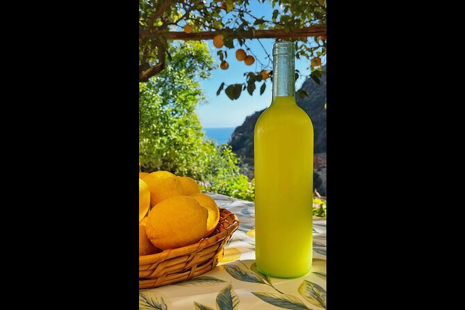 Authentic Amalfi Lemon Tour & Tasting in the Historical Garden - What you actually taste: organic lemonade, Limoncello, and lemon cake