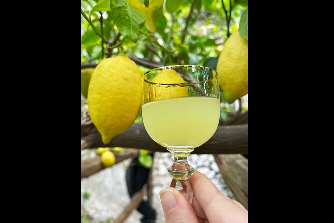 Authentic Amalfi Lemon Tour & Tasting in the Historical Garden - Who this tour suits best, and who should think twice