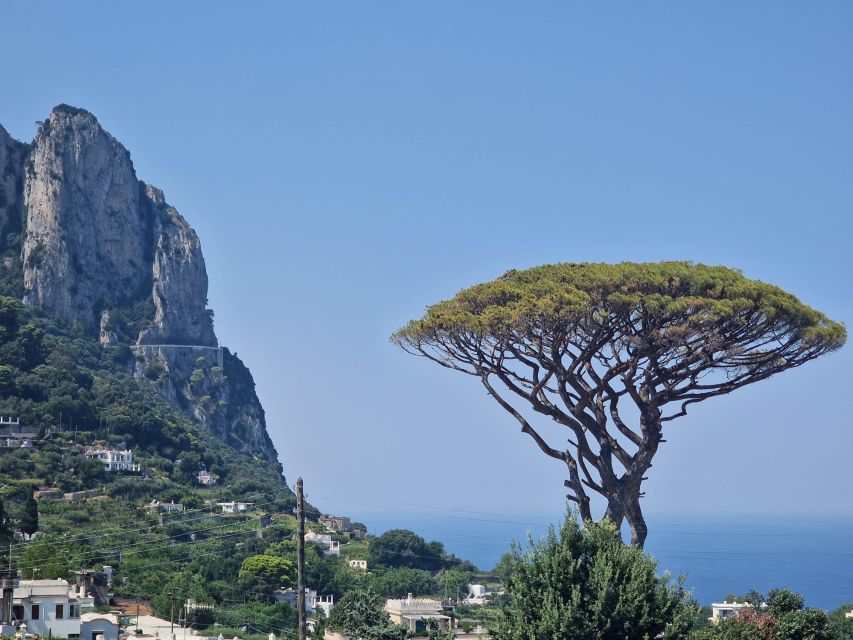 Capri, Anacapri & Blue Grotto Small Group Tour - FAQ