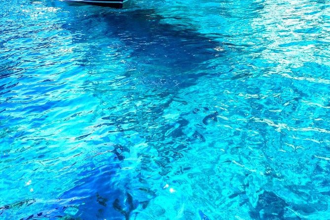 Capri: Boat Tour, Priority Tickets & Blue Grotto (Optional) - Who Should Book This Capri Boat Tour?