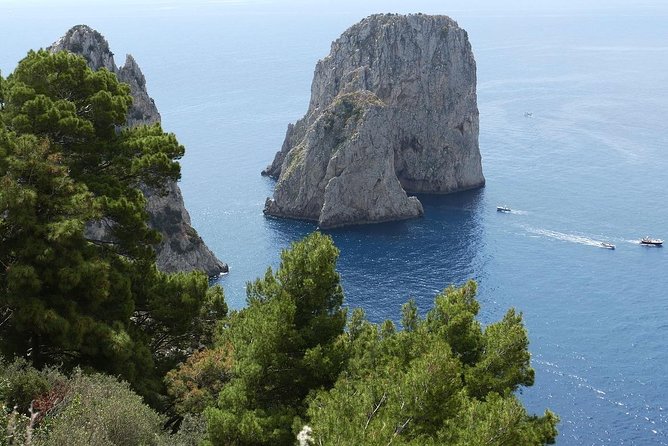 Capri Day and Night from Sorrento Small Group Tour - From Sorrento Pickup to Punta Campanella Photo Stops