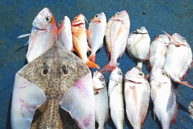 Capri Fishing Excursion with Snorkeling and Lunch from Sorrento - Key things I’d plan around