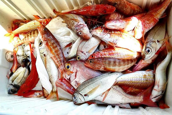 Capri Fishing Excursion with Snorkeling and Lunch from Sorrento - Lunch on board: catch-of-the-day energy, pasta always included