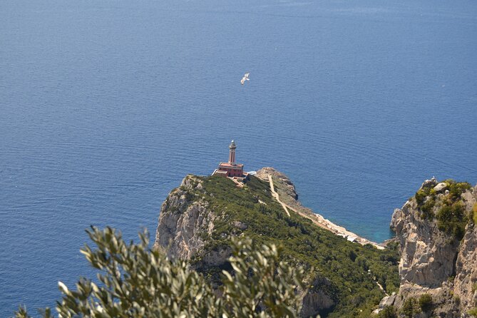 Capri Island and Blue Grotto Small Group Day Tour from Capri Port - The Blue Grotto plan: emerald light, tight entrance, and lines