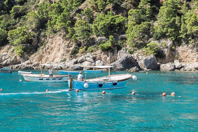 Capri tour with "Gozzo" (3 hours) - Key points before you go