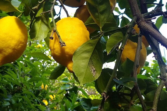 Cooking class in Capri for small groups - Capri Cooking Class: What You’re Actually Buying