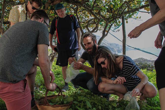 Cooking Class with garden visit - Price and value: what you’re really paying for at $193.09