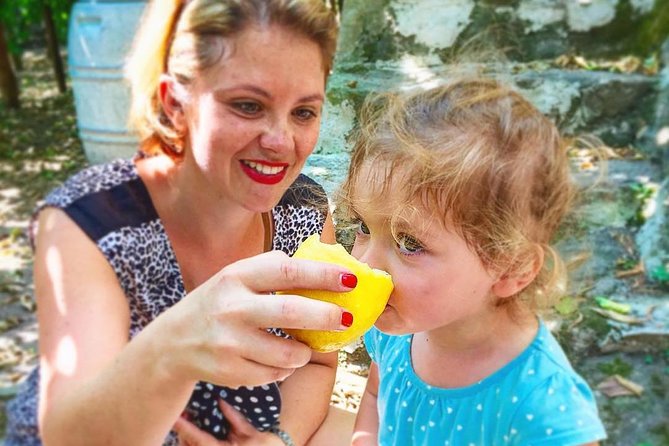 Discover Sorrento with food tasting and walking Tour - Stop-by-Stop: Piazza Tasso Lanes, Villa Fiorentino, and the Lemon Grove Connection