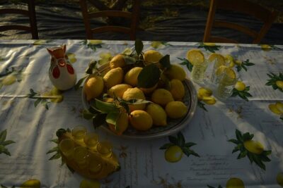Discovery Tour of Sorrento Lemon in Massa Lubrense - Key things to know before you go