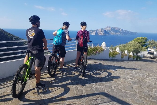 E-Bike Tour in the Sorrento Peninsula and Visit to Acetaia - Price And Value: What $95.31 Covers In Real Terms