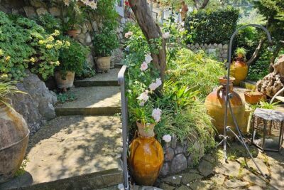 E-Bike Tour in the Sorrento Peninsula and Visit to Acetaia - Riding Between Coast Views And Country Roads (Without Overthinking It)