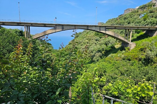 E-Bike Tour in the Sorrento Peninsula and Visit to Acetaia - FAQ
