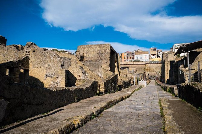 Exclusive Pompeii with Wine and Lunch on Vesuvius-Skip-the-line - Forum Highlights: Basilica, Apollo, Market Life, and Bath Culture