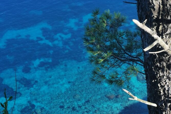 Exclusive Private Boat Tour to capri & Amalfi coast from Sorrento - Swim and snorkel stops: what’s included and what to do