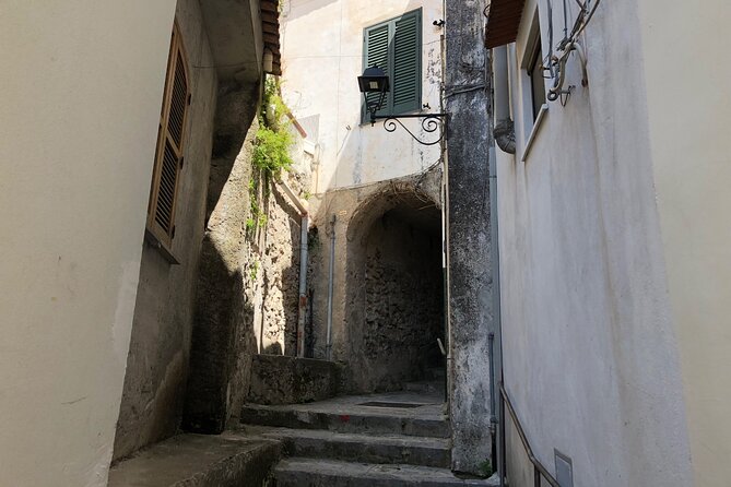 Exclusive Private Tour: Explore Pompeii and the Amalfi Coast - Pompeii Ticket + Priority Admission: What the Upgrade Actually Buys