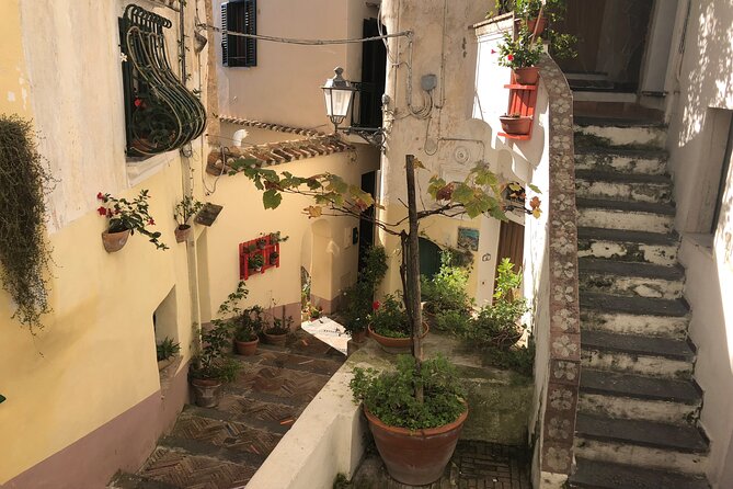 Exclusive Private Tour: Explore Pompeii and the Amalfi Coast - Positano: One Hour for Colorful Alleys and Sea Views