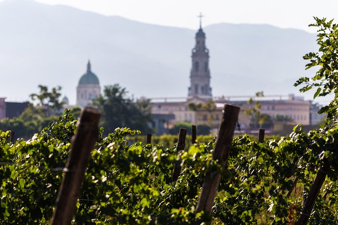Explore Pompeii: Private Tour, Wine Tasting & Lunch - Who Should Book This Private Tour (and Who Might Prefer a Different Plan)