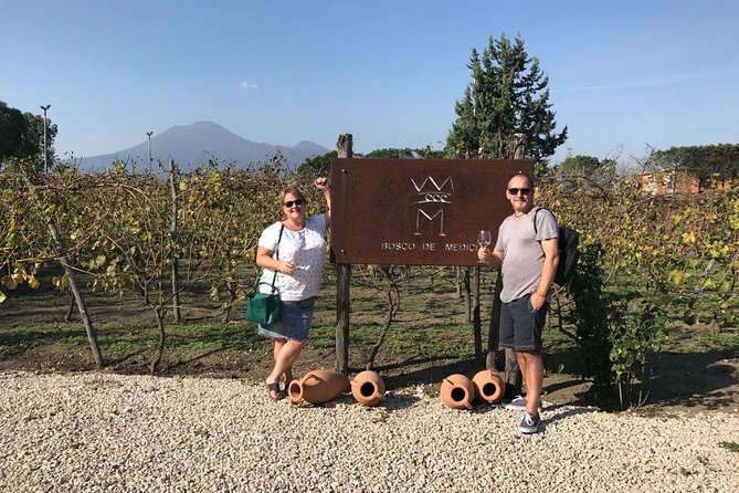 Explore Pompeii: Private Tour, Wine Tasting & Lunch - Book or Skip: My Recommendation for This Pompeii Morning