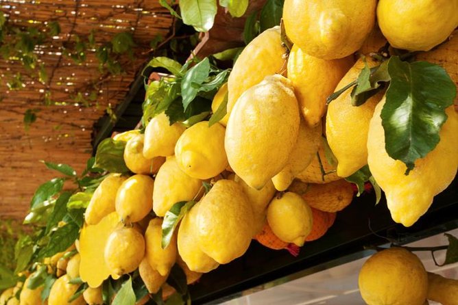 Farm-to-Table Experience: Olive Oil, Garden Tour & Nonna’s Lunch - Nonna’s Lunch: Seasonal Food Made at Home
