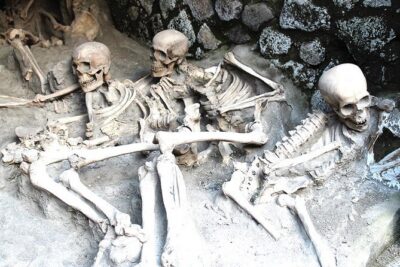 Fast Access Exclusive Private Ancient Pompeii Herculaneum & Oplontis Guided Tour - What you get: private guide, mobile ticket, and entrance included