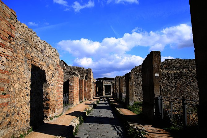 Fast Access Exclusive Private Ancient Pompeii Herculaneum & Oplontis Guided Tour - Price and value: is $411.55 per person worth it?