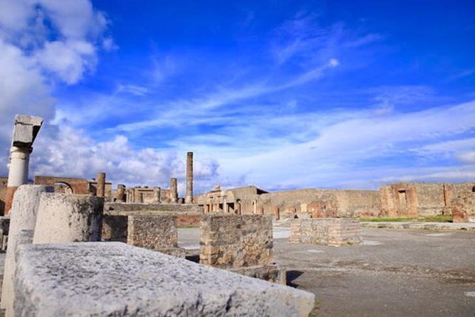 Fast Access Exclusive Private Ancient Pompeii Herculaneum & Oplontis Guided Tour - Who this tour is best for