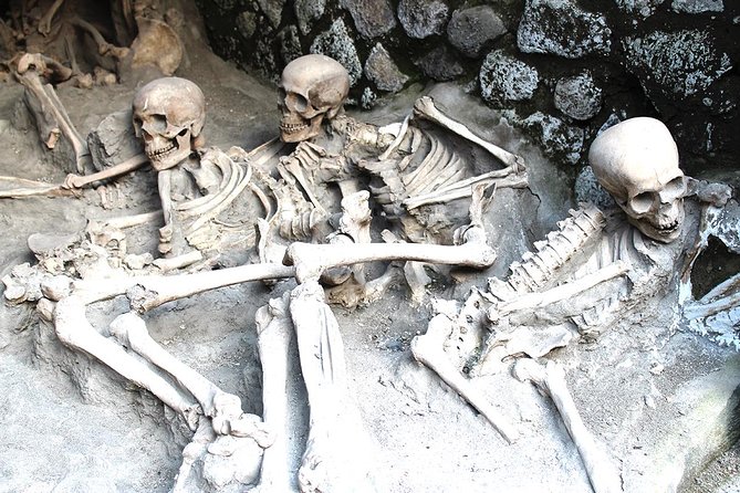 Fast Access Exclusive Private Ancient Pompeii Herculaneum & Oplontis Guided Tour - What you get: private guide, mobile ticket, and entrance included