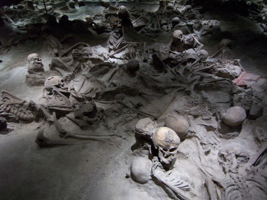 From Amalfi Coast: Pompeii Herculaneum skip-the-line - Key Highlights You’ll Feel Right Away